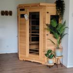 Holzsauna mit Glasfront und Pflanzen im Raum