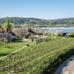 Haus mit Garten und Blick auf See und Hügel.