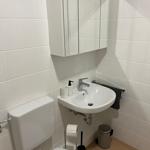 Badezimmer mit Toilette, Waschbecken und Spiegelschrank an der Wand.