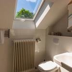 Badezimmer mit Dachfenster, Waschbecken, Toilette und Heizkörper.