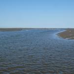 Flacher Wasserbereich mit Strand und Vögeln unter klarem Himmel