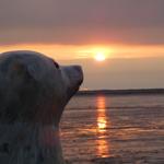 Eine Skulptur eines Eisbären blickt auf einen Sonnenuntergang über das Wasser.