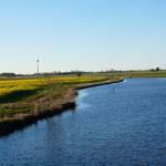 Ein Fluss fließt durch eine Landschaft mit gelben Blumen und Windrädern im Hintergrund.