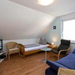 Zimmer mit Schlafcouch, Fernseher und Fenster. Holzfußboden und schräges Dach.
