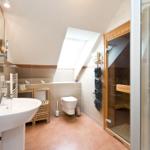 Badezimmer mit Dusche, Toilette und Sauna. Dachfenster sorgt für Tageslicht.