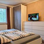 Schlafzimmer mit Bett, Kleiderschrank und Fernseher auf Schrank. Fenster mit Blick auf Bäume.