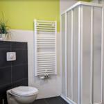 Badezimmer mit Dusche, Toilette und Heizkörper an der Wand.