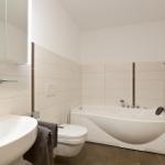 Stieglitz Nest-11