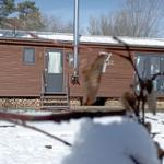 Tiny House "Wolke 7"-22