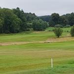 Golfplatz mit grünen Wiesen, Bäumen und einem Golfer mit Cart.