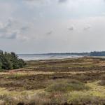 Vast moorland with trees and water in the distance under a cloudy sky.