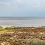 Wide view of the sea with beach and vegetation in the foreground.