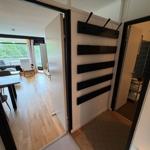 Eingangsbereich mit Garderobe, Blick in Wohnbereich und Bad.