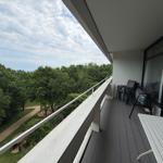 Terrasse mit Blick auf einen Wald und einen Weg