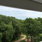 Blick von Balkon auf Wald mit Pfad und Horizont