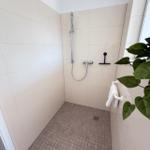 Dusche mit Duschbrause, Handtuchhalter und Pflanze an der Wand