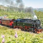 Zug-Fahrt zum Brocken - Hin und zurück  ca. 65 € pro Person ab Wernigerode Bahnhof. Aber es geht auch günstiger..
s. unsere Gästemappe