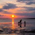 Drei Personen spazieren am Strand bei Sonnenuntergang. Der Himmel ist bunt gefärbt.