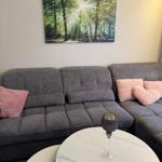 Graße Couch mit rosa Kissen, runde Tisch mit Glas, Wandbild im Wald.