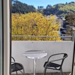 Vom Sofa hat man einen schönen Blick über den Balkon in den Kurpark und auf den Orenberg