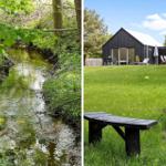 Ein Fluss durch einen Wald und eine moderne Hütte mit Garten und Feuerstelle.