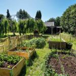Garten mit Gemüsebeeten, Bäumen und einem Holzhaus im Hintergrund.