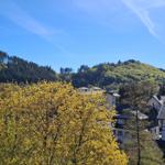 Blick vom Balkon über den Kurpark zum Orenberg