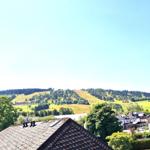 Blick aus dem Fenster vom kleinen Schlafzimmer auf den Ettelsberg mit dem Hochheideturm