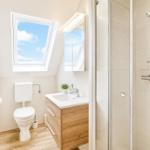 Badezimmer mit Dusche, Waschbecken und Toilette unter Dachfenster.