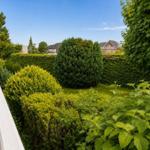 Garten mit grünen Sträuchern und Bäumen. Blick auf Nachbarhäuser im Hintergrund.