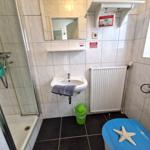 Badezimmer mit Dusche, Waschbecken und Toilette. Blauer Sitz mit Seestern.