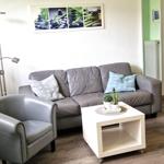 Ein Wohnzimmer mit grauem Sofa, kleinem Sessel und weißem Couchtisch.