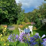 Garten mit vielen Blumenstauden