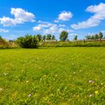 Grünes Feld mit Blumen unter blauem Himmel und Holzzaun im Hintergrund.