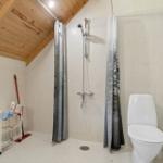 Bad mit Dusche, Toilette und Holzdecke