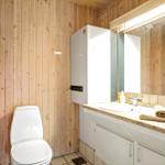 Badezimmer mit Holzwand, Toilette, Waschbecken und Spiegel