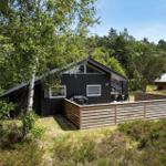 Schwarzes Ferienhaus mit Holzterrasse und Grill, umgeben von Bäumen und Grün.