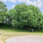 Grüner Garten mit Tisch und Stühlen unter Bäumen. Steinpflaster und Baumstumpf sichtbar.