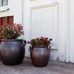 Zwei große dunkle Töpfe mit Blumen stehen vor einer weißen Tür und rotem Holz.