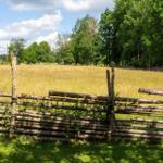 Holzzaun umgibt ein Feld mit hohem Gras und Bäumen im Hintergrund.