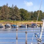 Bootshafen mit mehreren Booten und Bäumen im Hintergrund.