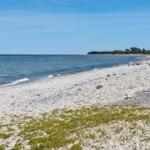Strand mit weißem Sand und grüner Vegetation am Ufer. Im Hintergrund sind Bäume und das Meer zu sehen.