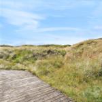 Holzterrasse führt zu grasbewachsenen Dünen unter blauem Himmel.