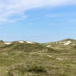 Grüne Dünenlandschaft unter blauem Himmel mit sandigen Erhebungen.