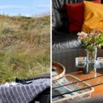 Grasbewachsener Hang mit Blick auf die Ferienwohnung. Wohnzimmer mit Sofa, Tisch und Blumen.
