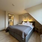 Bedroom with double bed, adjacent kitchen, and sloped ceiling.