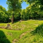 Entspannen in einem grünen Garten