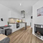 Wohnküche mit Kamin, Sofa und moderner Küchenzeile.