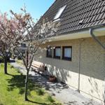 A house with brick facade, skylight, and a tree with pink blossoms.