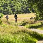 Zwei Personen fahren mit Fahrrädern auf einem Waldweg durch eine grüne Landschaft.